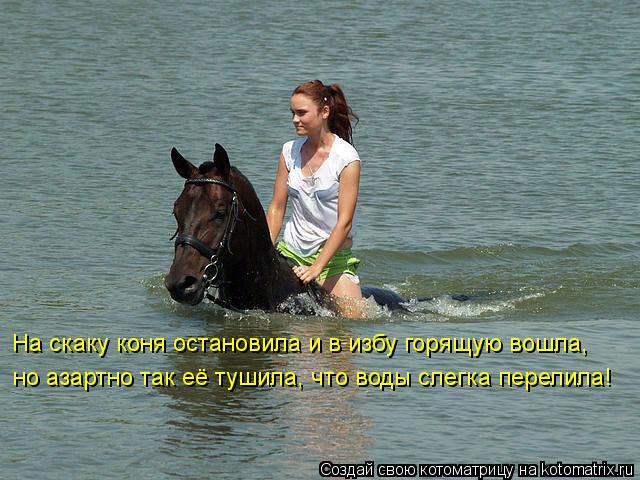 На скаку коня остановила и в избу горящую вошла, но азартно так её тушила, что воды слегка перелила... Котоматрица: На скаку коня остановила и в избу горящую вошла, но азартно так её тушила, что воды слегка перелила!