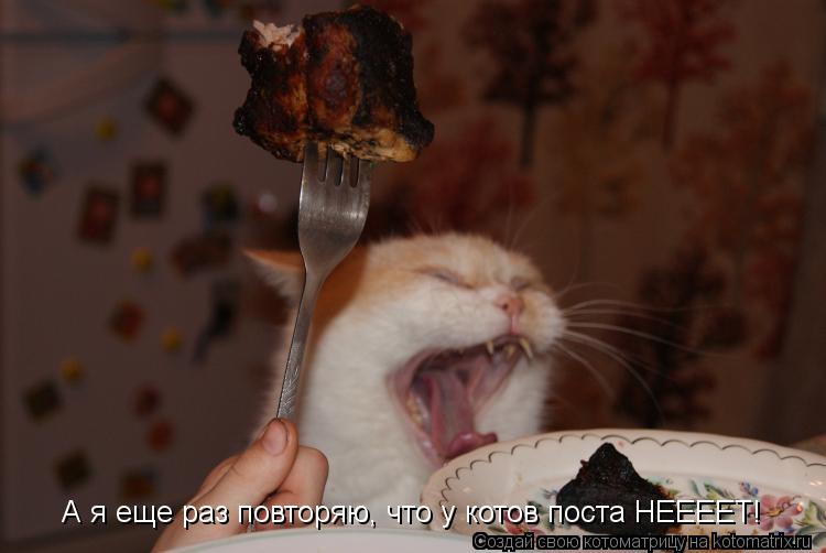 Котоматрица: А я еще раз повторяю, что у котов поста НЕЕЕЕТ!