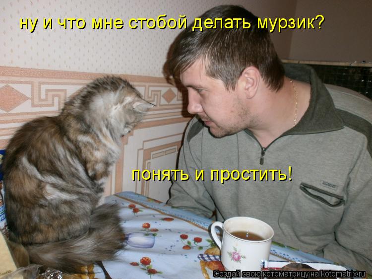 ну и что мне стобой делать мурзик? понять и простить!... Котоматрица: ну и что мне стобой делать мурзик? понять и простить!