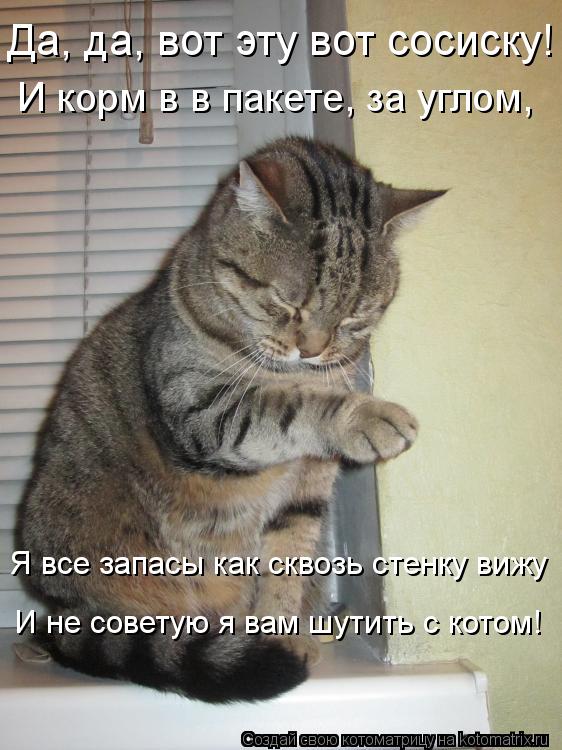 Да, да, вот эту вот сосиску! И корм в в пакете, за углом, Я все запасы как сквозь стенку вижу И не со... Котоматрица: Да, да, вот эту вот сосиску! И корм в в пакете, за углом, Я все запасы как сквозь стенку вижу И не советую я вам шутить с котом!