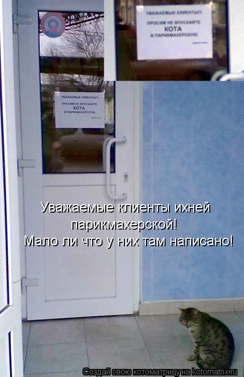 Котоматрица: Уважаемые клиенты ихней парикмахерской! Мало ли что у них там написано!