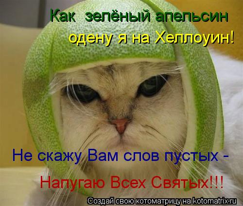 Как зелёный апельсин одену я на Хеллоуин! Не скажу Вам слов пустых - Напугаю Всех Святых!!!... Котоматрица: Как зелёный апельсин одену я на Хеллоуин! Не скажу Вам слов пустых - Напугаю Всех Святых!!!