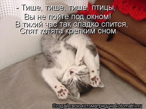 Котоматрица: - Тише, тише, тише, птицы, Вы не пойте под окном! В тихий час так сладко спится, Спят котята крепким сном.