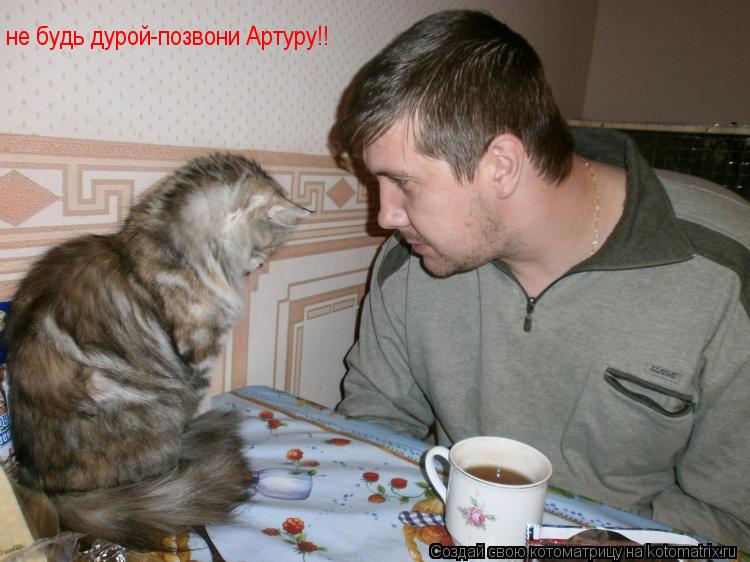не будь дурой-позвони Артуру!!... Котоматрица: не будь дурой-позвони Артуру!!