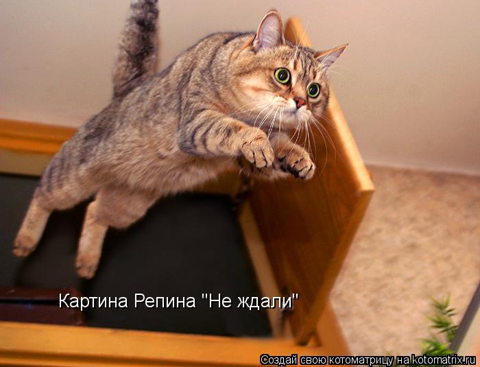 Картина Репина "Не ждали"... Котоматрица: Картина Репина "Не ждали"