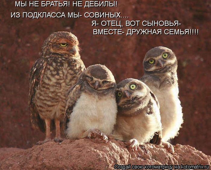 МЫ НЕ БРАТЬЯ! НЕ ДЕБИЛЫ! ИЗ ПОДКЛАССА МЫ- СОВИНЫХ.... Я- ОТЕЦ, ВОТ СЫНОВЬЯ- ВМЕСТЕ- ДРУЖНАЯ СЕМЬЯ!!!!... Котоматрица: МЫ НЕ БРАТЬЯ! НЕ ДЕБИЛЫ! ИЗ ПОДКЛАССА МЫ- СОВИНЫХ.... Я- ОТЕЦ, ВОТ СЫНОВЬЯ- ВМЕСТЕ- ДРУЖНАЯ СЕМЬЯ!!!!