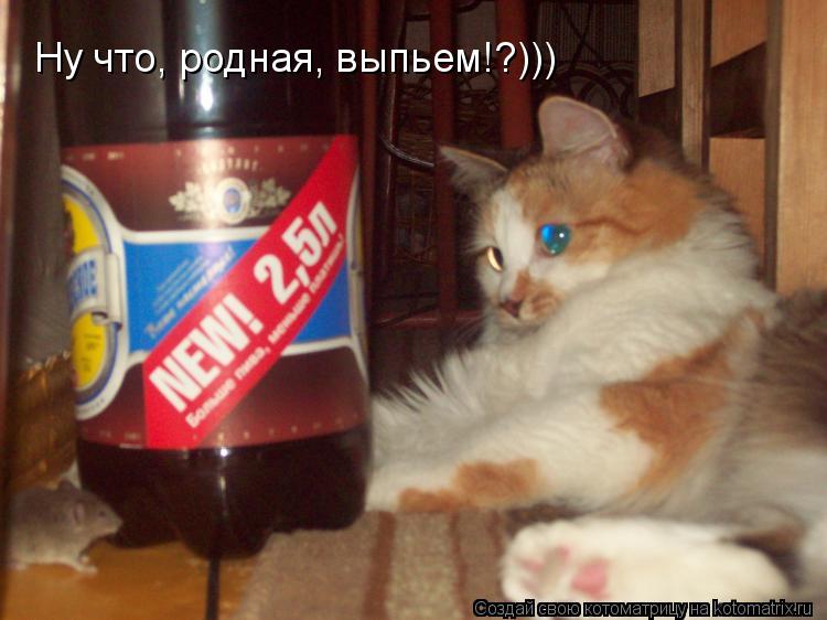 Ну что, родная, выпьем!?)))... Котоматрица: Ну что, родная, выпьем!?)))