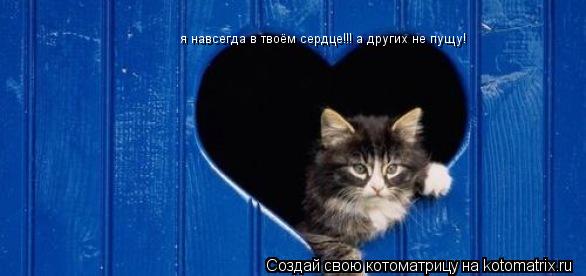 я навсегда в твоём сердце!!! а других не пущу! я навсегда в твоём сердце!!! а других не пущу!... Котоматрица: я навсегда в твоём сердце!!! а других не пущу! я навсегда в твоём сердце!!! а других не пущу!