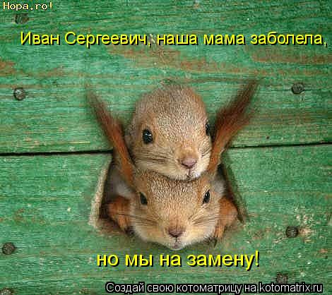 Иван Сергеевич, наша мама заболела, но мы на замену!... Котоматрица: Иван Сергеевич, наша мама заболела, но мы на замену!