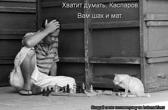 Котоматрица: Хватит думать, Каспаров.  Вам шах и мат.