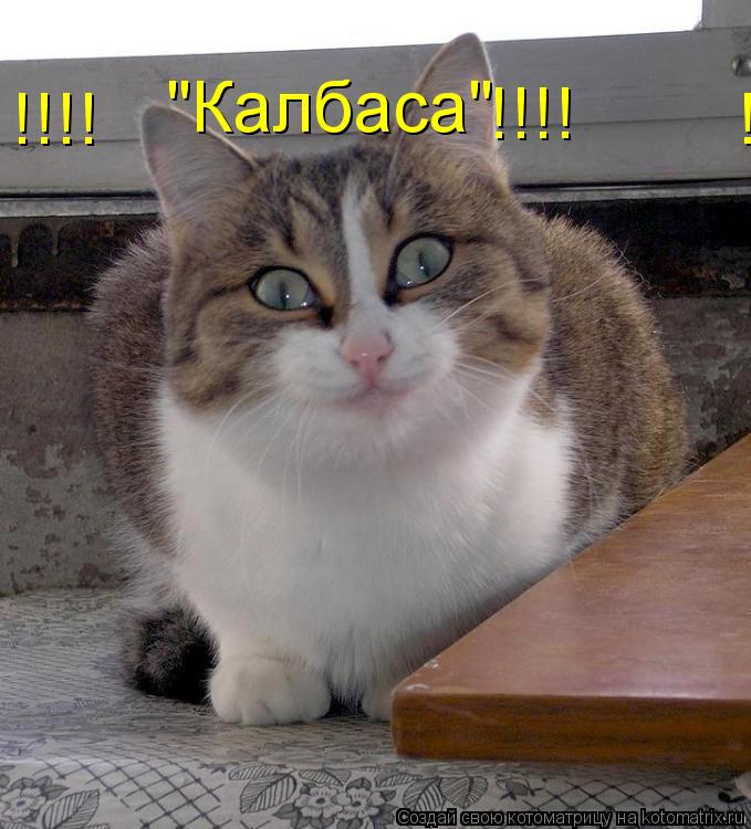 "Калбаса" !!!! !!!! !!!! !!... Котоматрица: "Калбаса" !!!! !!!! !!!! !!