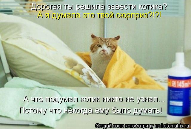 Дорогая ты решила завести котика? А я думала это твой сюрприз?!?! А что подумал котик никто не узнал.... Котоматрица: Дорогая ты решила завести котика? А я думала это твой сюрприз?!?! А что подумал котик никто не узнал... Потому что некогда ему было думать!