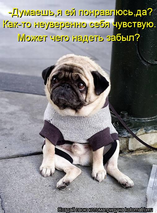-Думаешь,я ей понравлюсь,да? Как-то неуверенно себя чувствую. Может чего надеть забыл?... Котоматрица: -Думаешь,я ей понравлюсь,да? Как-то неуверенно себя чувствую. Может чего надеть забыл?