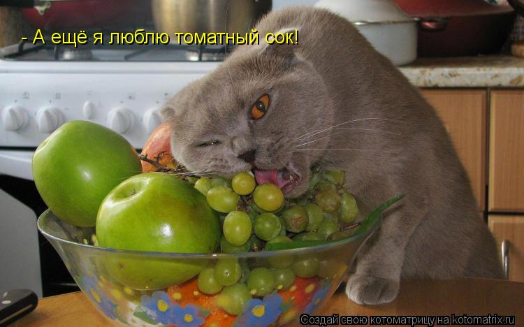 - А ещё я люблю томатный сок!... Котоматрица: - А ещё я люблю томатный сок!