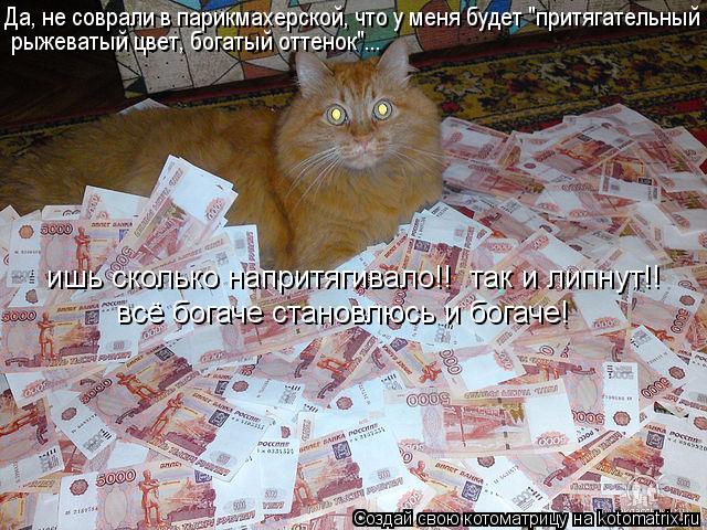 Да, не соврали в парикмахерской, что у меня будет "притягательный рыжеватый цвет, богатый оттенок"...... Котоматрица: Да, не соврали в парикмахерской, что у меня будет "притягательный рыжеватый цвет, богатый оттенок"... ишь сколько напритягивало!! так и липну