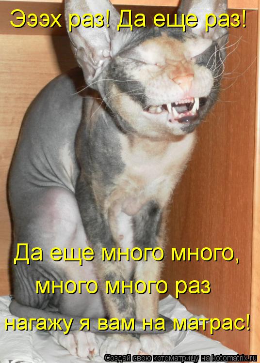 Эээх раз! Да еще раз! Да еще много много, много много раз нагажу я вам на матрас!... Котоматрица: Эээх раз! Да еще раз! Да еще много много, много много раз нагажу я вам на матрас!