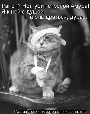 Котоматрица: Ранен? Нет, убит стрелой Амура! Я к ней с душой,  а она драться, дура...