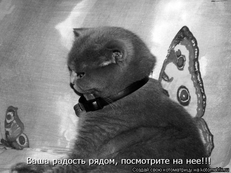 Ваша радость рядом, посмотрите на нее!!!... Котоматрица: Ваша радость рядом, посмотрите на нее!!!