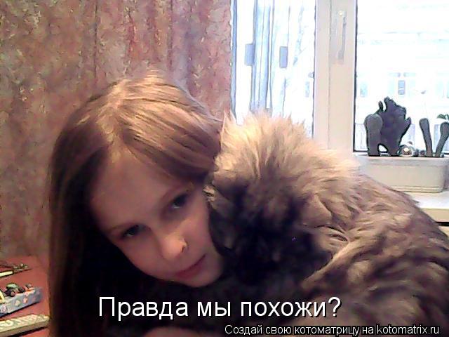 Правда мы похожи?... Котоматрица: Правда мы похожи?