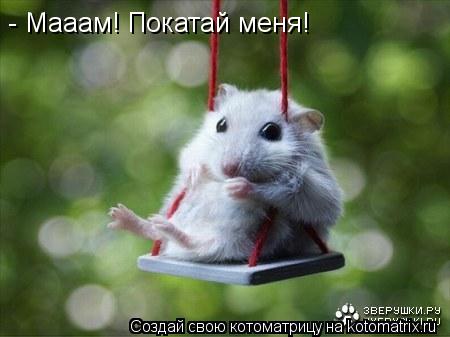 - Мааам! Покатай меня!... Котоматрица: - Мааам! Покатай меня!