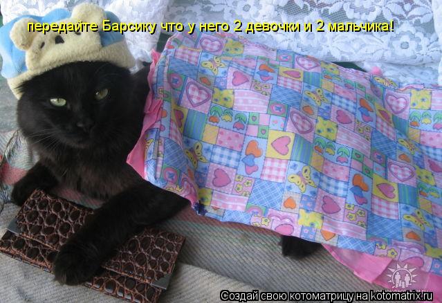передайте Барсику что у него 2 девочки и 2 мальчика!... Котоматрица: передайте Барсику что у него 2 девочки и 2 мальчика!
