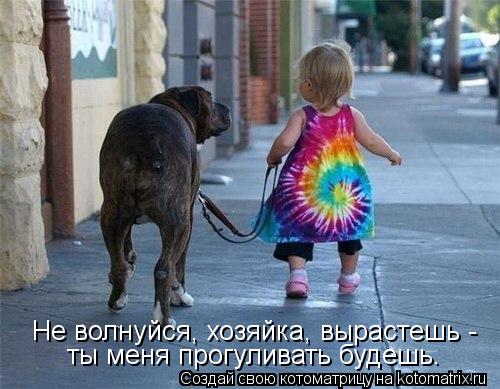 Не волнуйся, хозяйка, вырастешь - ты меня прогуливать будешь.... Котоматрица: Не волнуйся, хозяйка, вырастешь - ты меня прогуливать будешь.