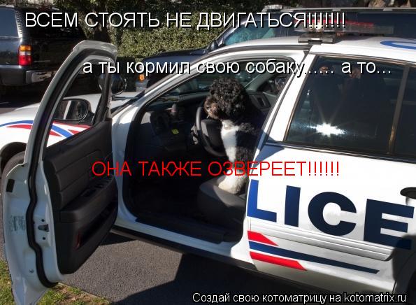 ВСЕМ СТОЯТЬ НЕ ДВИГАТЬСЯ!!!!!!! а ты кормил свою собаку...... а то... ОНА ТАКЖЕ ОЗВЕРЕЕТ!!!!!!... Котоматрица: ВСЕМ СТОЯТЬ НЕ ДВИГАТЬСЯ!!!!!!! а ты кормил свою собаку...... а то... ОНА ТАКЖЕ ОЗВЕРЕЕТ!!!!!!
