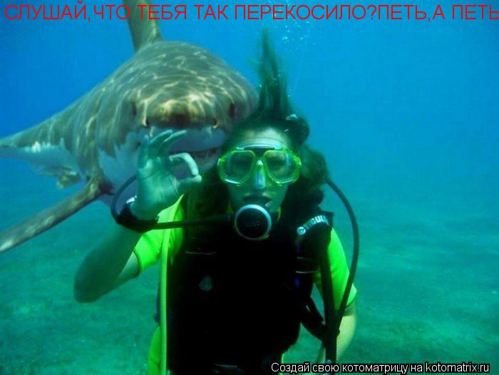 СЛУШАЙ,ЧТО ТЕБЯ ТАК ПЕРЕКОСИЛО?ПЕТЬ,А ПЕТЬ?... Котоматрица: СЛУШАЙ,ЧТО ТЕБЯ ТАК ПЕРЕКОСИЛО?ПЕТЬ,А ПЕТЬ?