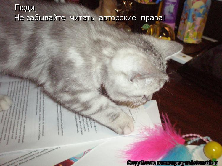 Люди, Не забывайте читать авторские права!... Котоматрица: Люди, Не забывайте читать авторские права!