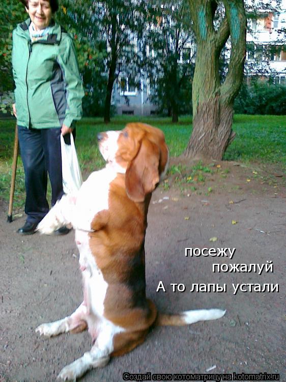 посежу пожалуй А то лапы устали... Котоматрица: посежу пожалуй А то лапы устали