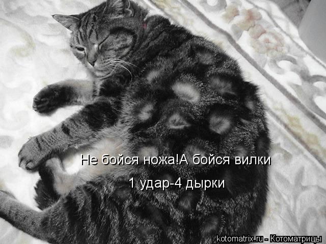 Не бойся ножа!А бойся вилки 1 удар-4 дырки... Котоматрица: Не бойся ножа!А бойся вилки 1 удар-4 дырки