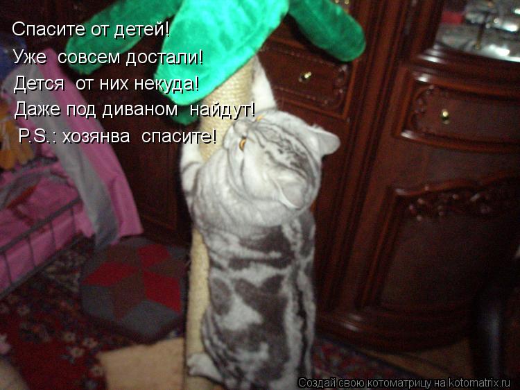 Спасите от детей! Уже совсем достали! Дется от них некуда! Даже под диваном найдут! P.S.: хозянв... Котоматрица: Спасите от детей! Уже совсем достали! Дется от них некуда! Даже под диваном найдут! P.S.: хозянва спасите!