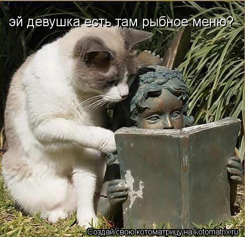 эй девушка есть там рыбное меню?... Котоматрица: эй девушка есть там рыбное меню?