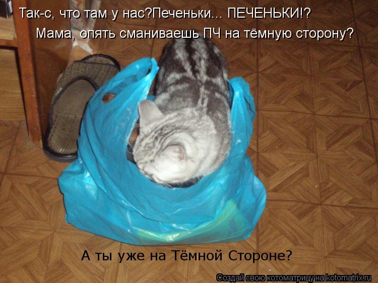 Так-с, что там у нас?Печеньки... ПЕЧЕНЬКИ!? Мама, опять сманиваешь ПЧ на тёмную сторону? А ты уже на ... Котоматрица: Так-с, что там у нас?Печеньки... ПЕЧЕНЬКИ!? Мама, опять сманиваешь ПЧ на тёмную сторону? А ты уже на Тёмной Стороне?