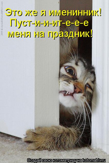 Это же я именинник! Пуст-и-и-ит-е-е-е меня на праздник!... Котоматрица: Это же я именинник! Пуст-и-и-ит-е-е-е меня на праздник!