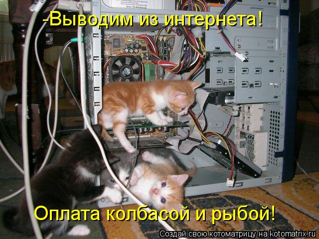 Котоматрица: -Выводим из интернета! Оплата колбасой и рыбой!