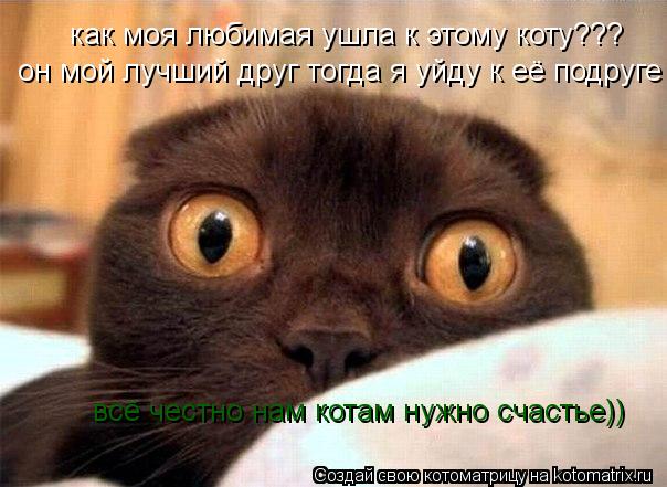 Котоматрица: как моя любимая ушла к этому коту??? он мой лучший друг тогда я уйду к её подруге всё честно нам котам нужно счастье))