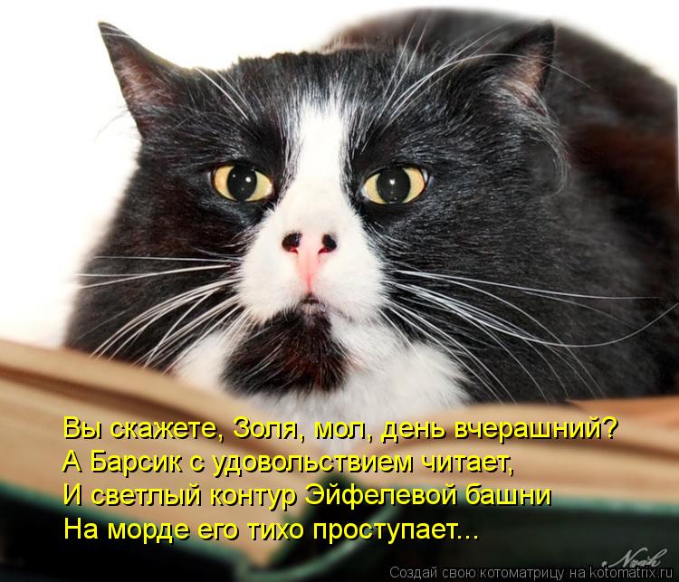Вы скажете, Золя, мол, день вчерашний? А Барсик с удовольствием читает, И светлый контур Эйфелевой ба... Котоматрица: Вы скажете, Золя, мол, день вчерашний? А Барсик с удовольствием читает, И светлый контур Эйфелевой башни На морде его тихо проступает...