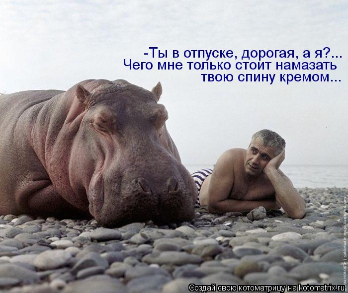 Котоматрица: -Ты в отпуске, дорогая, а я?... Чего мне только стоит намазать твою спину кремом...