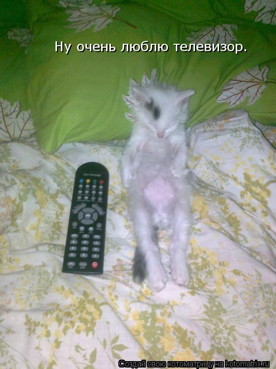 Котоматрица: Ну очень люблю телевизор.