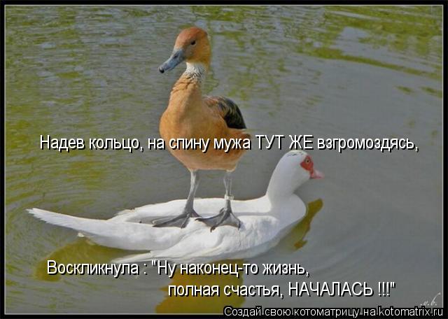 Котоматрица: Надев кольцо, на спину мужа ТУТ ЖЕ взгромоздясь, полная счастья, НАЧАЛАСЬ !!!" Воскликнула : "Ну наконец-то жизнь,