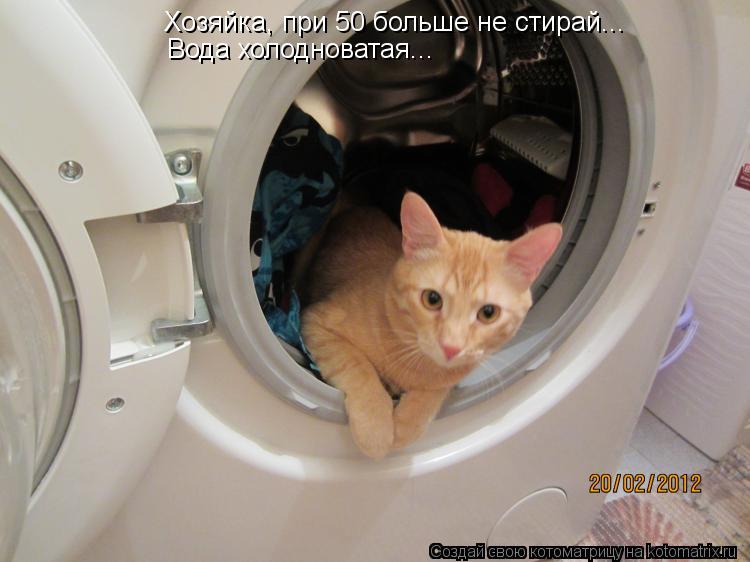 Хозяйка, при 50 больше не стирай... Вода холодноватая...... Котоматрица: Хозяйка, при 50 больше не стирай... Вода холодноватая...