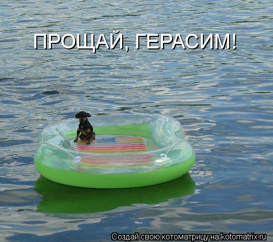 ПРОЩАЙ, ГЕРАСИМ!... Котоматрица: ПРОЩАЙ, ГЕРАСИМ!