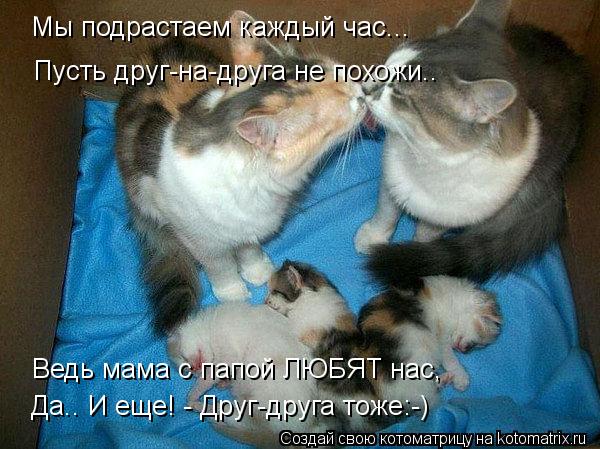 Мы подрастаем каждый час... Пусть друг-на-друга не похожи.. Да.. И еще! - Друг-друга тоже:-) Ведь мам... Котоматрица: Мы подрастаем каждый час... Пусть друг-на-друга не похожи.. Да.. И еще! - Друг-друга тоже:-) Ведь мама с папой ЛЮБЯТ нас,