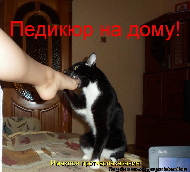 Педикюр на дому! Имеются противопаказания... Котоматрица: Педикюр на дому! Имеются противопаказания