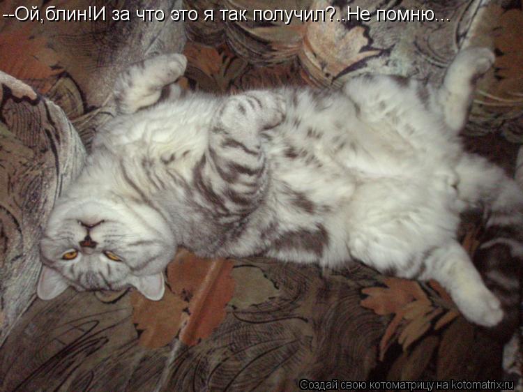 Котоматрица: --Ой,блин!И за что это я так получил?..Не помню...