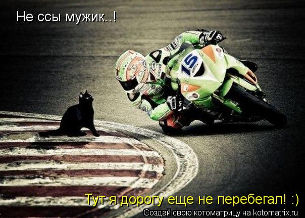 Котоматрица: Не ссы мужик..! Тут я дорогу еще не перебегал! :)