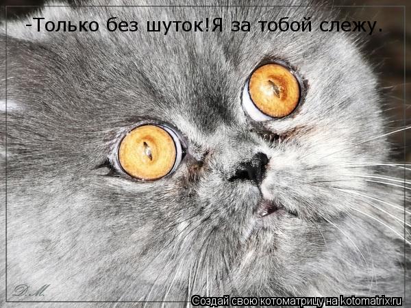 Котоматрица: -Только без шуток!Я за тобой слежу.