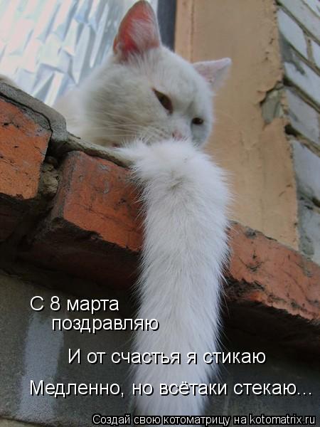 С 8 марта поздравляю И от счастья я стикаю Медленно, но всётаки стекаю...... Котоматрица: С 8 марта поздравляю И от счастья я стикаю Медленно, но всётаки стекаю...