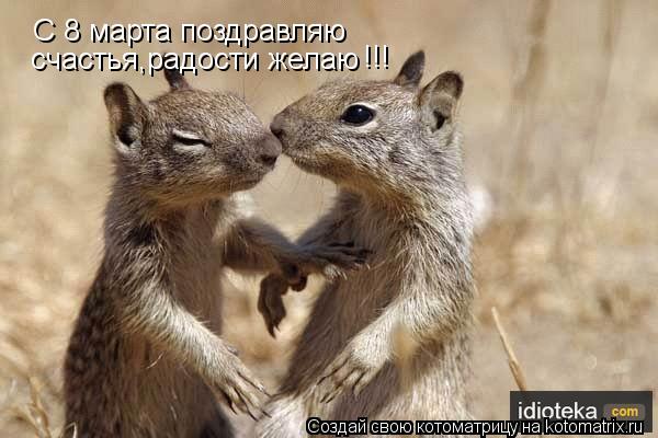 С 8 марта поздравляю счастья,радости желаю !!!... Котоматрица: С 8 марта поздравляю счастья,радости желаю !!!
